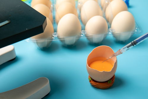开壳鸡蛋食品安全农业科技食品培育摄影图 插画 下载至来源处