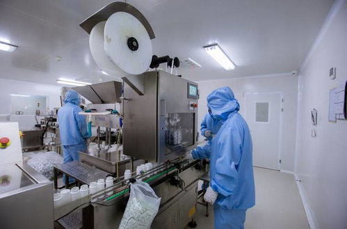 走进 国和堂 透明工厂,解锁烟台食品安全密码
