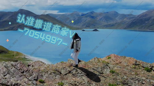 详解京东白条找商家兑现秒回款,取现靠谱秒到最新操作方法